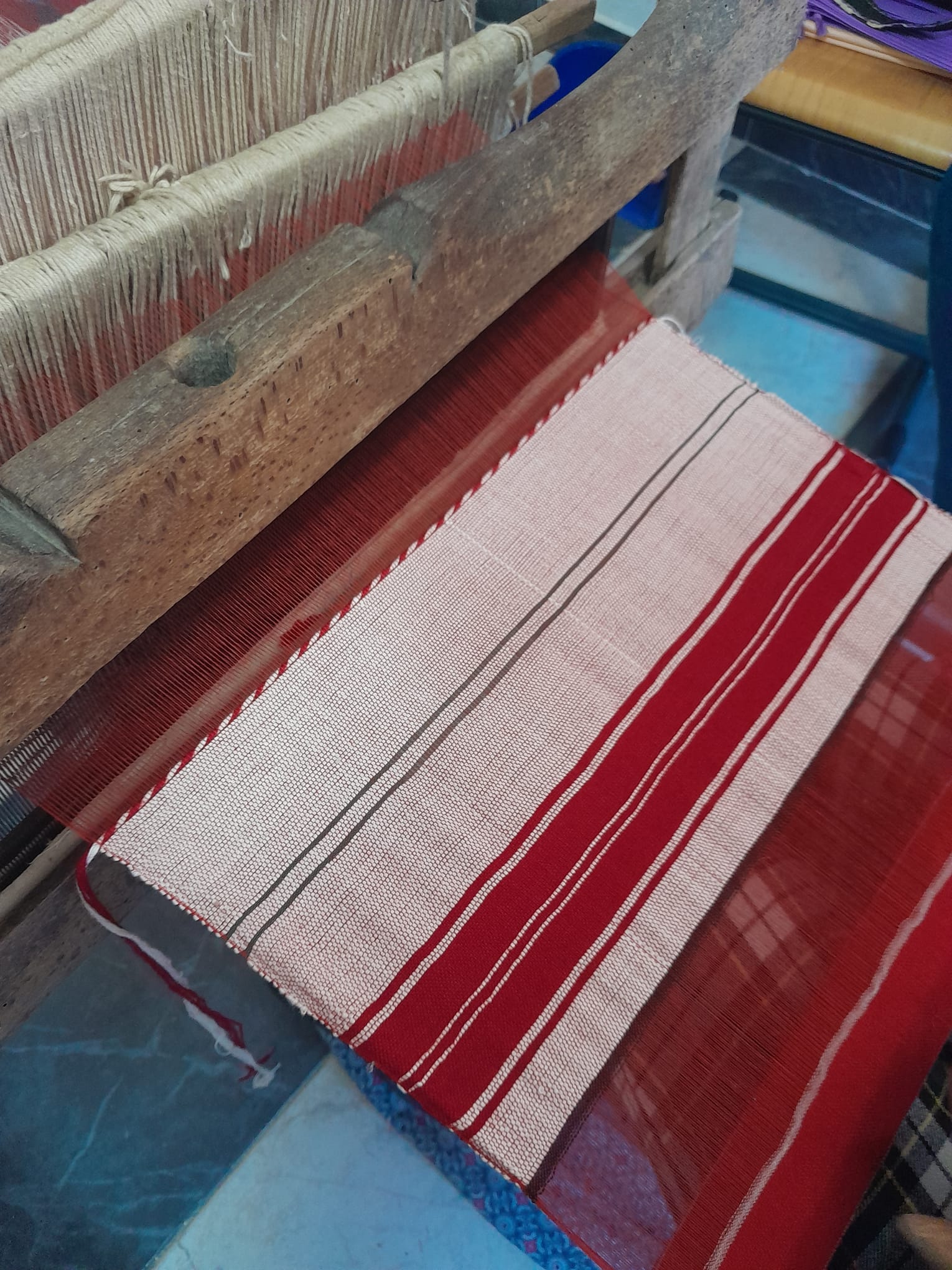 Progetto: “Të Kujdesemi (Prendersi cura)”