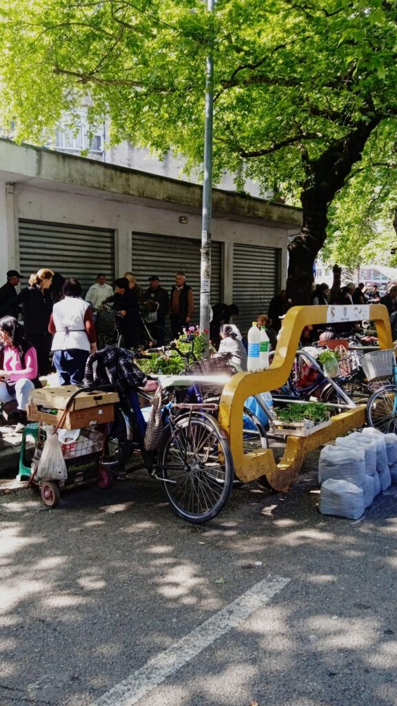 WhatsApp Image 2023-04-29 at 14.30.05