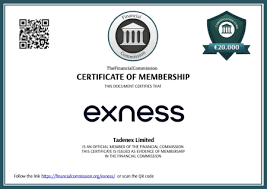 The Growing Presence of Exness Vietnam in the Trading Market